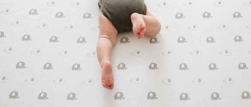 Moses Basket vs Bassinet vs Cradle: What's the Difference and Which Sheet Do You Need?