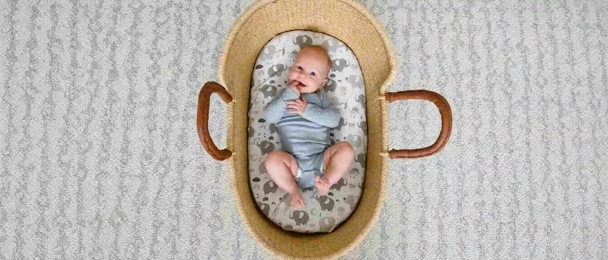 An image showing a baby lying in a bassinet