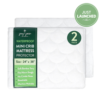 Waterproof Mattress Pad Cover for Mini Cribs (24 x 38 inch) - 2 Pack