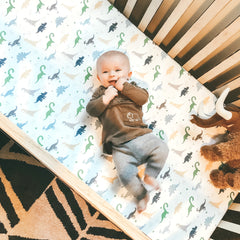 Cotton Jersey Fitted Crib Sheets – Dinosaurs